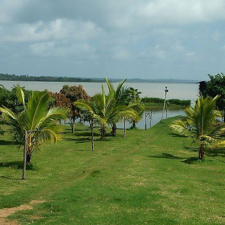 Begūr The Peepal Tree, Kabini מראה חיצוני תמונה