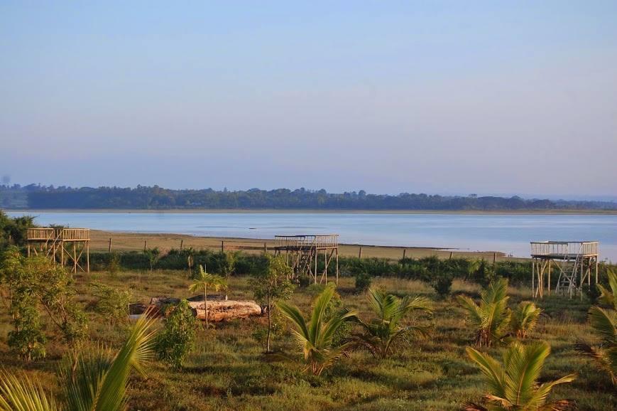 Begūr The Peepal Tree, Kabini מראה חיצוני תמונה